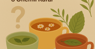 Bitki Çaylarını Karıştırmak Güvenli mi? Şifa ve Risk Arasında Dikkat Edilmesi Gereken 6 Kural