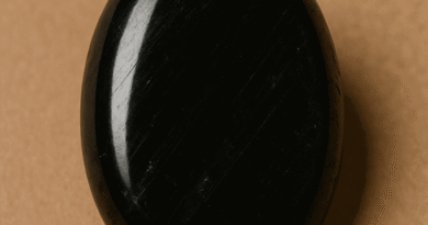 Siyah Turmalin (Şorl): Negatif Enerjiye Karşı En Güçlü Koruma Taşı