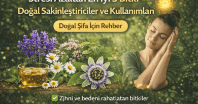 Stresi Azaltan En İyi 5 Bitki | Doğal Sakinleştiriciler ve Kullanımları