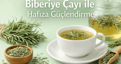 Biberiye Çayı Faydaları Zihinsel Performans