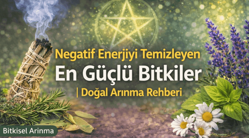 Negatif Enerjiyi Temizleyen En Güçlü Bitkiler Doğal Arınma