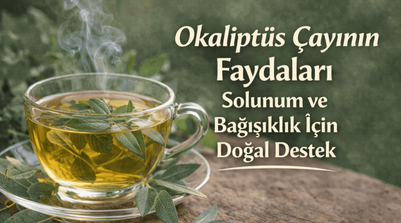 Okaliptüs Çayının Faydaları Solunum ve Bağışıklık İçin Destek