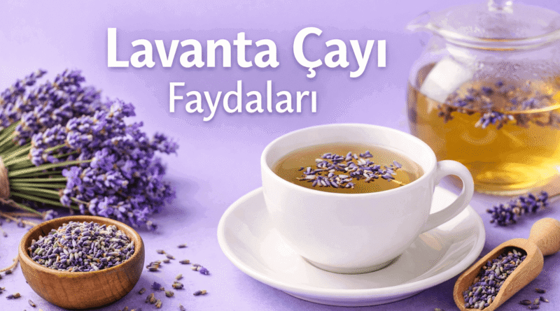 Lavanta Çayının Faydaları | Rahatlatıcı ve Doğal Rehber