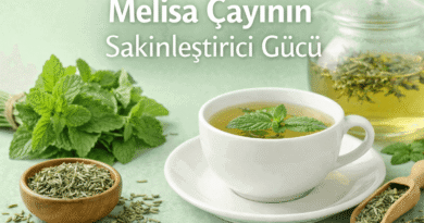 Melisa Çayının Sakinleştirici Gücü | Stres, Uyku ve Zihinsel Denge