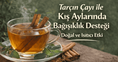 Tarçın Çayı ile Kış Aylarında Bağışıklık Desteği | Doğal ve Isıtıcı